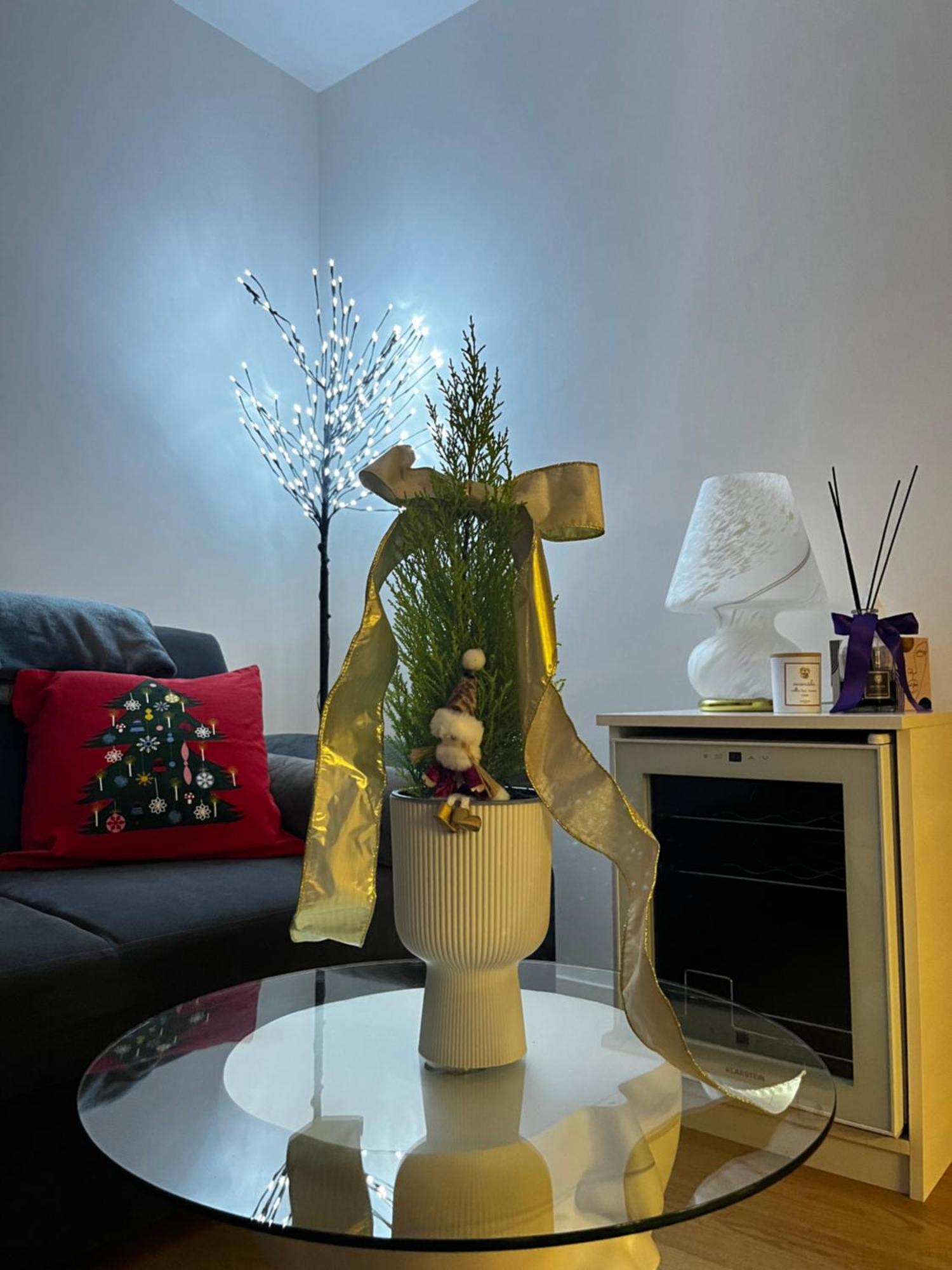 La Triestina Apartment *